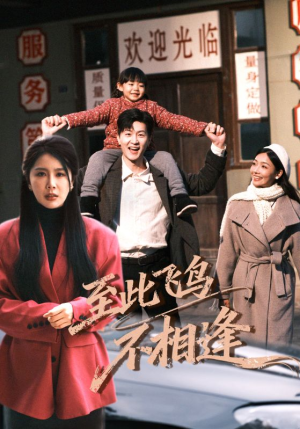 至此飞鸟不相逢（70集）古装短剧热播