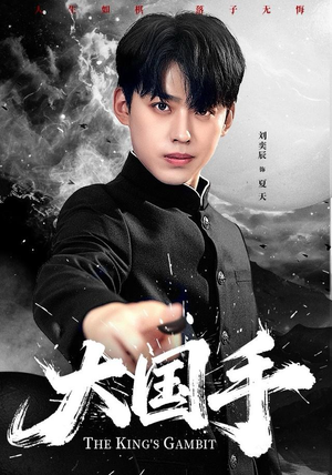 大国手（76集）热门短剧排行榜