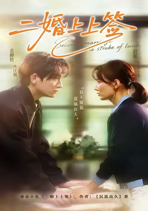 二婚上上签（71集）第一季