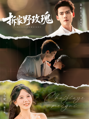 拆家野玫瑰（80集）在线看