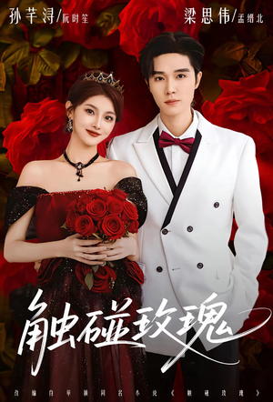 触碰玫瑰（80集）贝贝短剧分享