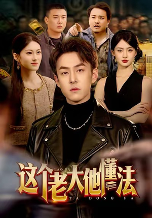 这个老大他懂法（100集）零花钱看整部剧