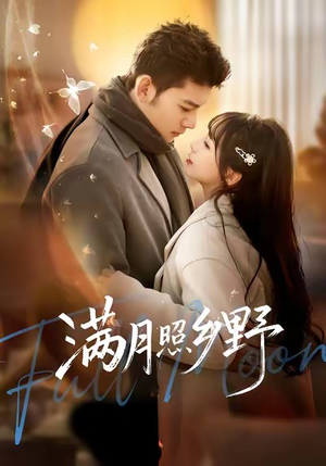 满月照乡野（70集）海量短剧免费看