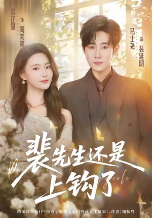 裴先生还是上钩了（62集）每天短剧分享