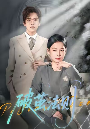 破茧法则（66集）全集一网打尽