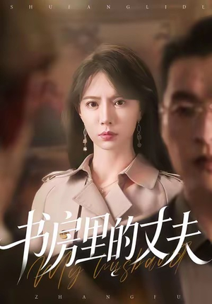 书房里的丈夫（100集）短剧精彩推荐
