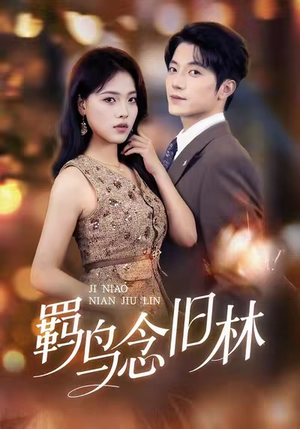 羁鸟念旧林（60集）全季一次看完