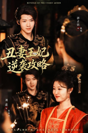 丑妻王妃逆袭攻略（62集）迅雷网盘观看