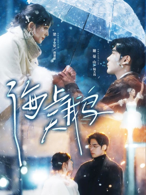 海上天鹅（70集）常回家看看短剧