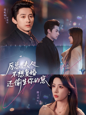 厉总，夫人不想复婚还偷生你的崽（80集）剧情简介