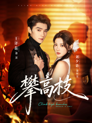 攀高枝（70集）热门短剧在线看