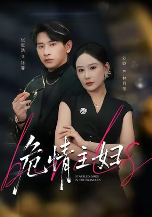 危情主妇（60集）免费版