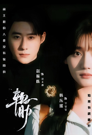 软肋（62集）一共多少集