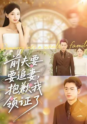 前夫要追妻，抱歉我领证了（81集）精彩短剧推荐