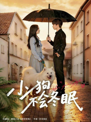 小狗不会冬眠（70集）甜宠短剧追到爽