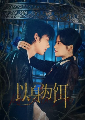 以身为饵（61集）完整版免费观看