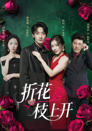 折花枝上开（51集）红果短剧看全集