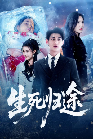生死归途（50集）火爆短剧推荐