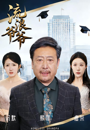 流浪爷爷（40集）全集一次看完