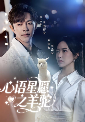 心语星愿之羊驼（60集）解说