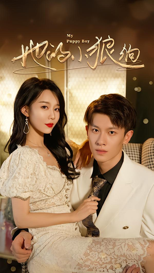 灿烂的风（60集）好看的国产短剧