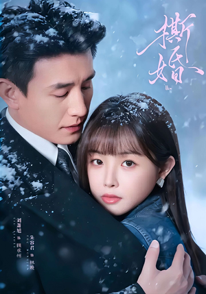 撕婚（23集）网盘在线观看