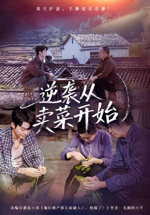 逆袭从卖菜开始（72集）全集下载