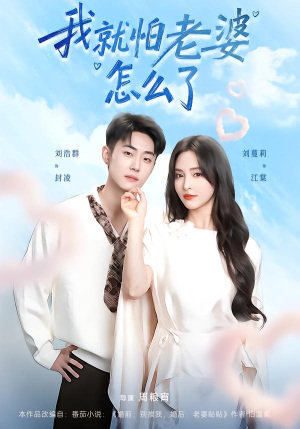 我就怕老婆怎么了（88集）短剧全集免费