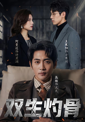 双生灼骨（60集）排行榜前十短剧