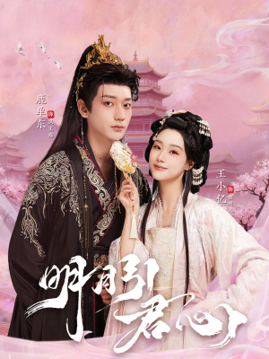 明月引君心（74集）短剧追到爽