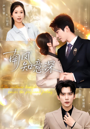 南风知意深（40集）短剧精彩不断
