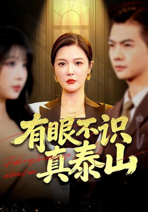 有眼不识真泰山（75集）怎么看全集