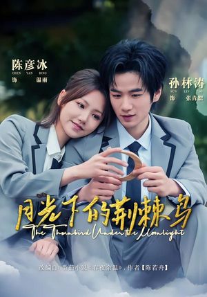 月光下的荆棘鸟（80集）看到大结局