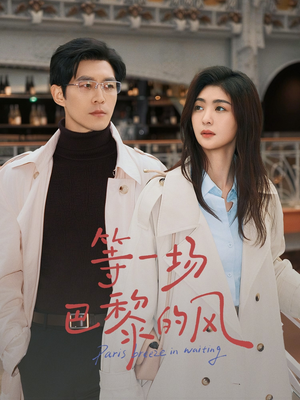 等一场巴黎的风（60集）全集下载