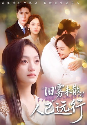 旧雾未散，人已远行（76集）热门短剧推荐