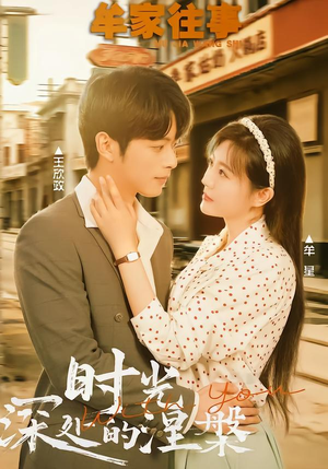 牟家往事时光深处的涅槃（70集） 温柔追捕短剧