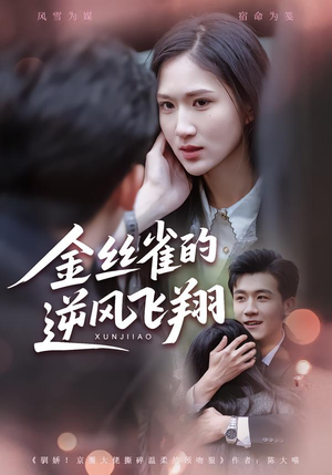 金丝雀的逆风飞翔（80集） 免费热门短剧