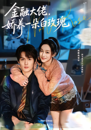 金融大佬，娇养一朵白玫瑰（70集）火爆短剧推荐