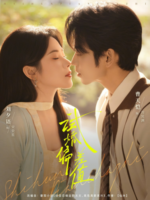 试婚偏差值（66集）直接看到大结局