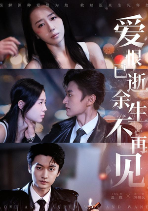 爱恨已逝，余生不再见（68集）短剧精彩不断