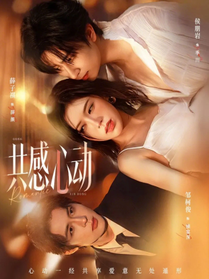 共感心动（66集）百度网盘在线看