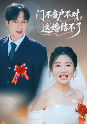 门不当户不对，这婚结不了（58集）短剧全集完整版