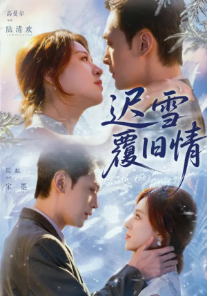 迟雪覆旧情（62集）追风的女孩短剧