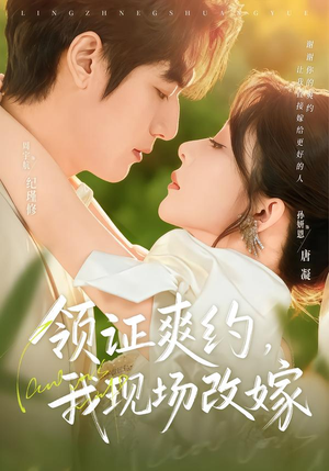 领证爽约，我现场改嫁（60集）在线看免费版