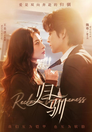 归驯（82集）在线观看