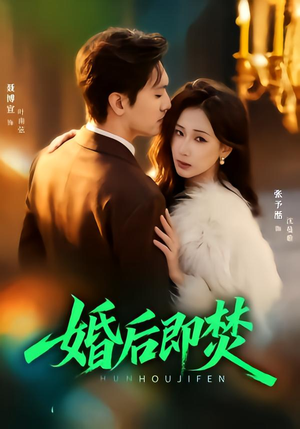 婚后即焚（77集）热门短剧在线看