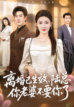 离婚已生效，陆总你老婆不要你了（61集）火爆短剧推荐