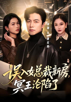 误入女总裁新房，冥王沦陷了（80集）让你一口气看完