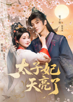 太子妃天亮了（80集）免费看短剧