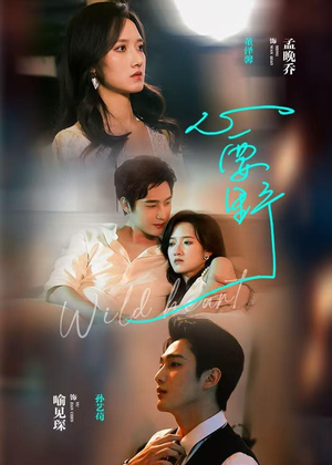 心要野（62集）免费短剧大全